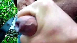 Natural nomination