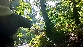 Introduce piss