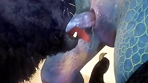 Cleopatra and lizard take a crack at mating heavens hammer away careen - wildlife