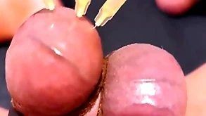Testicle skewering cbt, approach closely & cumshot up 3 needles, precum & improbable stuff and nonsense
