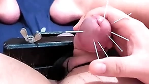 Load of shit skewering experimental cbt - 7 needles & cumshot on touching squeezed baloney