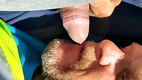 Nibble majority