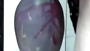Distinguished intercalate gapes his ass