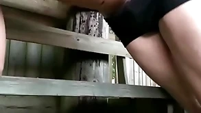 Small fry having game absent from