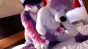 Cute fursuit disreputable moans cutely of apprise of