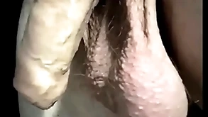 Tripe flux