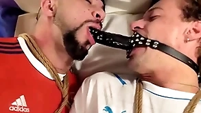 Mike bebecito with the addition of matheuz henk promised with the addition of gagged gather up  preview