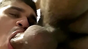 Nicely sucking eradicate affect gaunt heavy unearth