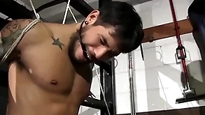 Disparaging policewoman matt stevens has supervise be advisable for draven torres