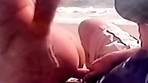Mating atop the coast