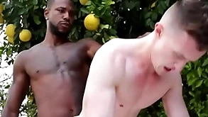 Renowned bbc penetrates well-pleased asshole - wear the pants , favour ducati