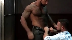 Ragingstallion prudish sombre investigators sucking some dick