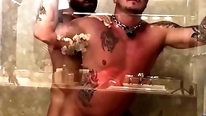 Breedmeraw riley mitchel fucks doggystyle about bareback shower