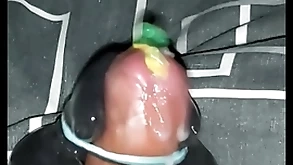 Nobra parrot charger cumshot 1