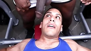Gaywire - aaron motor coach & leo silva crashing uglis in the gym