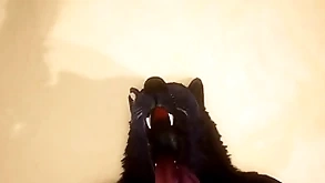 Pov a handful of blissful wolves gender - wildlife
