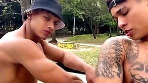Lucian reed coupled with damond shady - part1